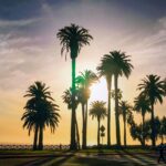 New California Laws You Should Be Aware of in 2024
